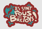 logo festival Ils sont fous ces bretons !